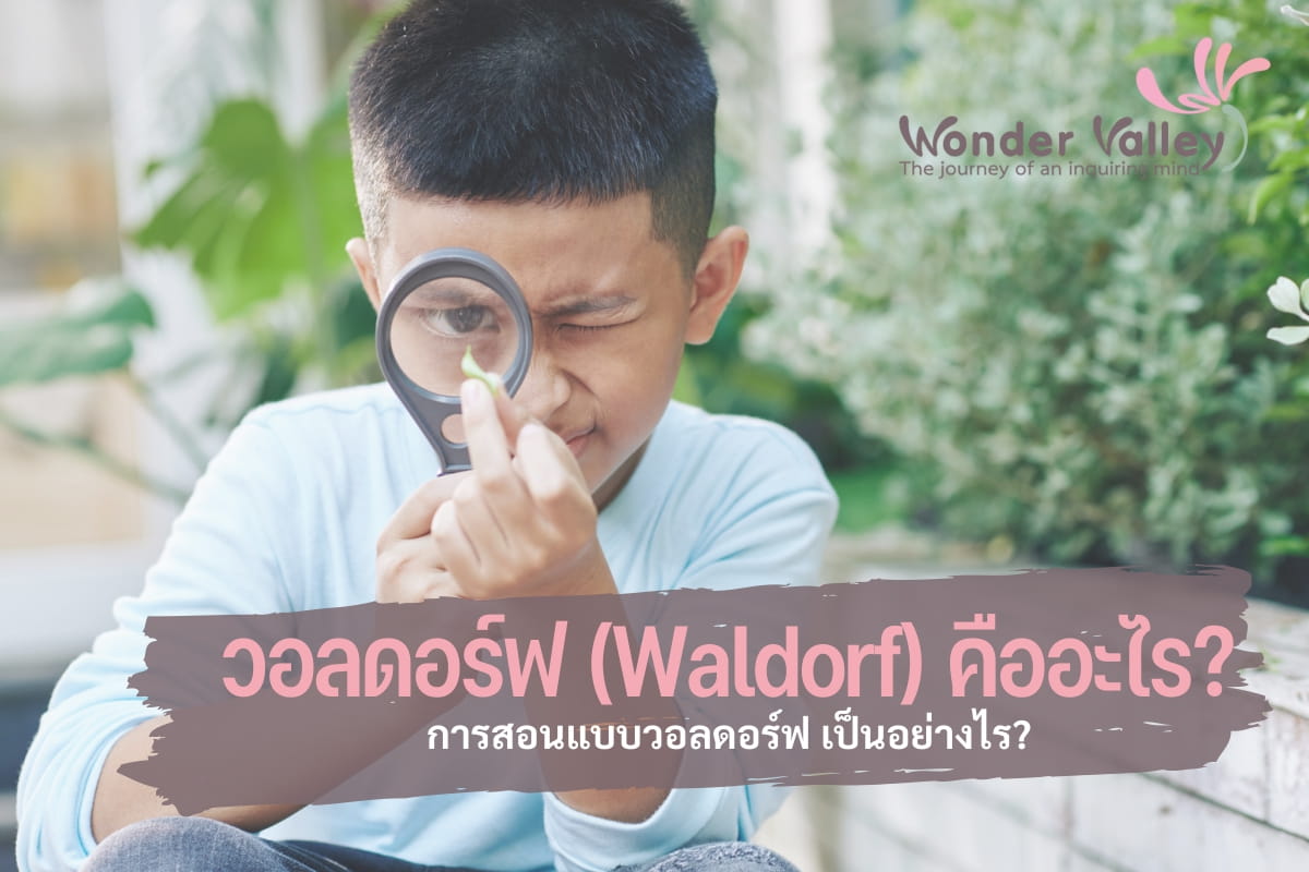 วอลดอร์ฟ (Waldorf) คืออะไร? โรงเรียนที่มีการสอนแบบวอลดอร์ฟ เป็นอย่างไร?