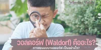 what is waldorf education 